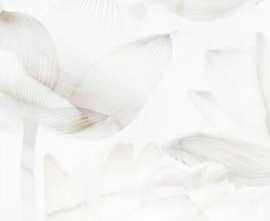 Плитка 125701 Bianco декор 25x40