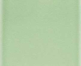 Плитка ADMO1021 Liso PB C/C Verde Claro 15х15