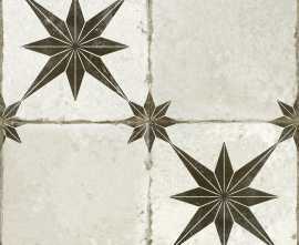Плитка 28148 FS Star Ara Black 45x45