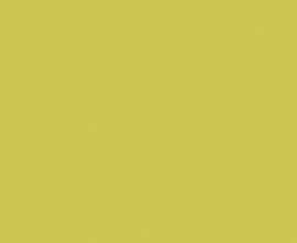 Плитка WAAMB464 Color One 20x40