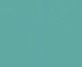 Плитка WAAMB457 Color One 20x40