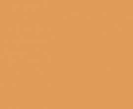 Плитка WAAMB282 Color One 20x40