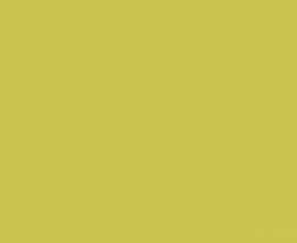 Плитка WAA1N464 Color One 20*20