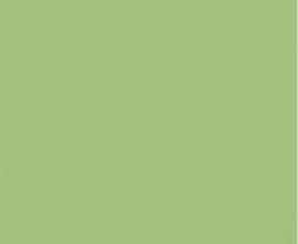 Плитка WAA1N455 Color One 20*20