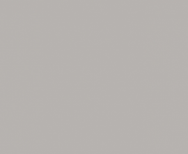 Плитка WAAMB010 CONCEPT PLUS Grey 20x40