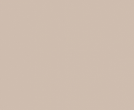 Плитка WAAMB008 CONCEPT PLUS Beige 20x40