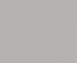 Плитка WAAKB010 CONCEPT Plus Grey 25x33