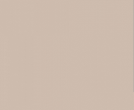 Плитка WAAKB008 CONCEPT Plus Beige 25x33