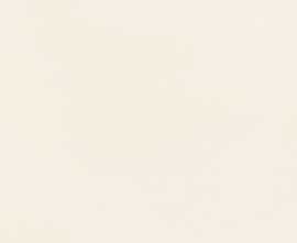 Плитка W-House of Tones white 32,8x89,8