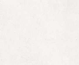 Плитка 100239817 Bottega White 45x120