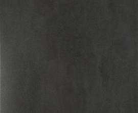 Керамогранит SLAB NEGRO rect. lapp. 60x60