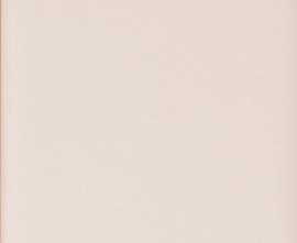 Плитка 4100723 Rose Matte 5x25