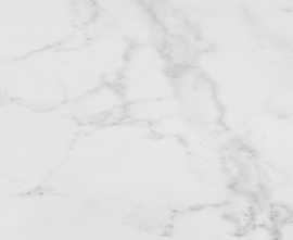 Керамогранит P1856896 V5590680 Carrara Blanco Brillo 59.6x59.6