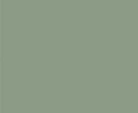Плитка NB_0403 Ekzotic olive 30х90
