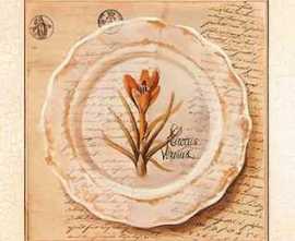 Плитка 25.8(420) Декор Herbarium 6 из 1 плитки 10x10