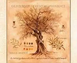 Плитка 25.8(423) Декор Herbarium 3 из 1 плитки 10x10