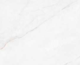 Керамогранит 39493 Dahlia White EP 60х120