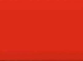 Плитка WARGT002 CONCEPT PLUS Red 25x10