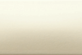 Плитка WARDT107 CONCEPT PLUS Light beige 20x6