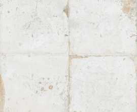 Плитка 29295 Fs Roots-0 45x45