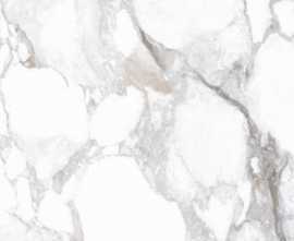 Керамогранит 36882 Haute White SP/100X275/R 100x275