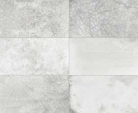 Плитка 28943 FS RAKU SILVER 20X40