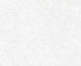 Керамогранит 25841 Nature White SF/75,5X151/C/R 75,5x151