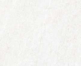 Керамогранит 25818 Nature White SF/60X120/C/R 60x120