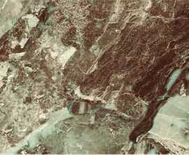 Плитка Danae Marron 25x50