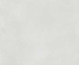 Керамогранит DARV1722 Extra White 60x120