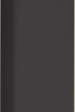 Плитка GSEAP248 Color Two 2,4*20
