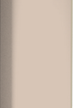 Плитка GSEAP108 Color Two 2,4*20
