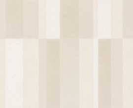 Плитка WITMB508 UP 20x40