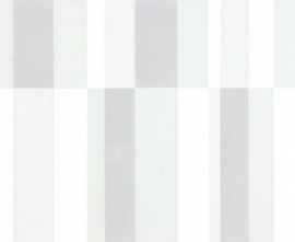 Плитка WITMB000 UP 20x40