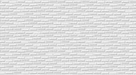 Плитка Fan Kite Blanco Rect. 25x75