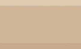 Плитка Monocolor Biselado Brillo Beige 10X30