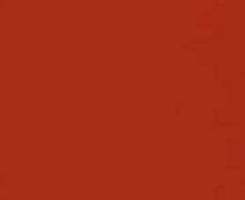 Плитка Citta Rosso MJ0Q 20*20