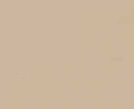 Плитка Arch. Sabbia MJ2J 20*20