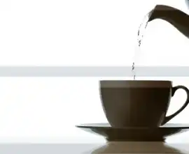 Плитка AK0585 Composicion Japan Tea 02 (церемония) 20x30 (комплект 2шт)