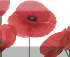 Плитка Decor Poppy 04 10X30