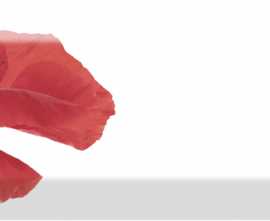 Плитка Decor Poppy 01 10X30