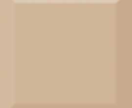 Плитка Biselado Brillo Beige 10x10