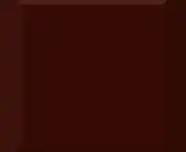 Плитка Monocolor Marron Biselado Brillo 10x10