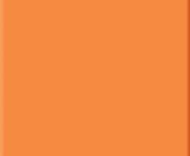 Плитка ABS0313 Naranja Milano Brillo 10x10