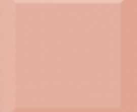 Плитка Biselado Brillo Coral 10x10