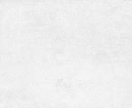 Плитка In Time Blanco 30*90