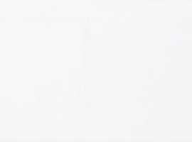 Плитка Snow Glossy Rett 25x75
