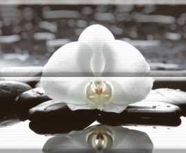Плитка Composicion Wellness 01 White 30x45 (комплект 2шт)