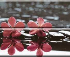 Плитка Composicion Wellness 02 Red 30x45 (комплект 2шт)