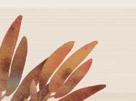 Плитка Decor Savage Flowers 02 Marron 15x45